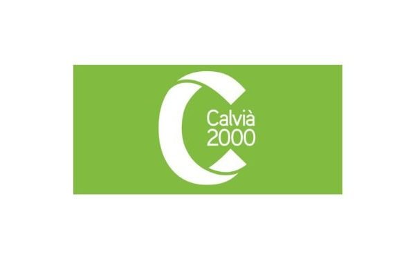 Calvia 2000 Success Story